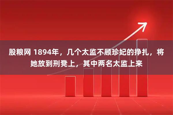 股粮网 1894年，几个太监不顾珍妃的挣扎，将她放到刑凳上，其中两名太监上来